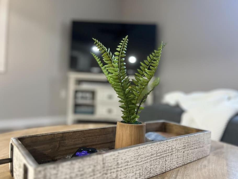 הוילה צ'יקו Downtown Rustic Roots מראה חיצוני תמונה